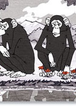 Copertina di Beginning of fashion