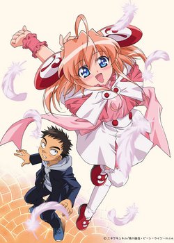 Copertina di Rizelmine