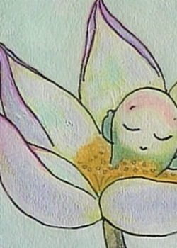 Copertina di Hasu no Yousei: Bonyo Bonyo