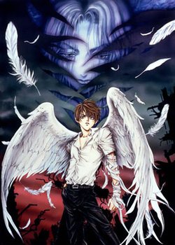 Copertina di Angel Sanctuary