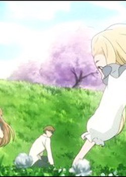 Copertina di Honey and Clover Specials