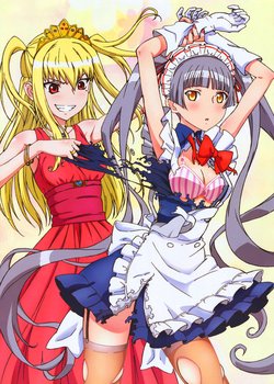 Copertina di Maria†Holic