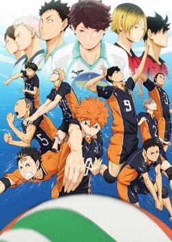 Copertina di Haikyu!!
