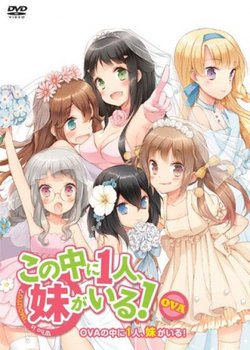 Copertina di Kono Naka ni Hitori, Imouto ga Iru!: Ani, Imouto, Koibito