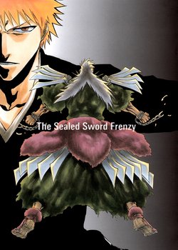 Copertina di Bleach: The Sealed Sword Frenzy