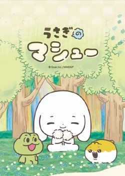 Copertina di Matthew the Rabbit