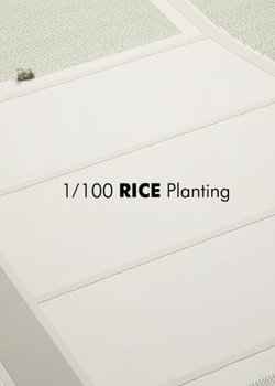 Copertina di 1/100 RICE Planting