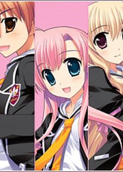 Copertina di Weiß Survive R