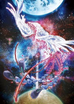 Copertina di PHOENIX: REMINISCENCE OF FLOWER