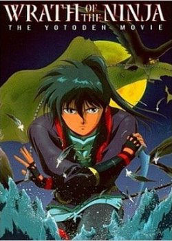 Copertina di Wrath of the Ninja