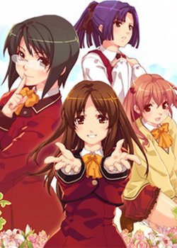 Copertina di Steady x Study