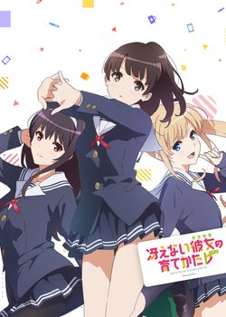 Copertina di Saekano: How to Raise a Boring Girlfriend Flat: Fan Service of Love and Pure Heart