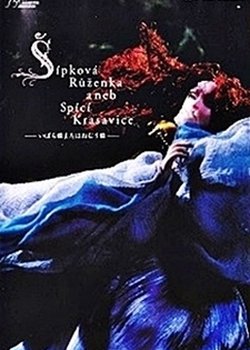 Copertina di Briar-Rose or The Sleeping Beauty