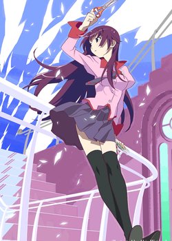 Copertina di Bakemonogatari Recap