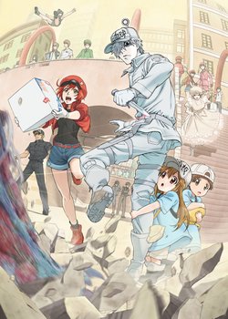 Copertina di Cells at Work!