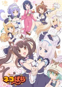 Copertina di Nekopara