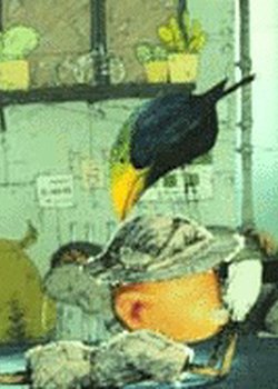 Copertina di The Researcher's Search - Perspectivenbox