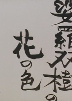 Copertina di Spotlight