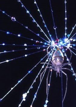 Copertina di Weaving