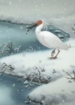 Toki: Kono Hoshi no Mirai wo Mitsumete