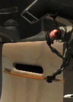 Copertina di the FLY BanD!