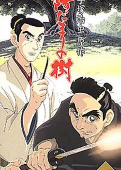 Copertina di Tree in the Sun