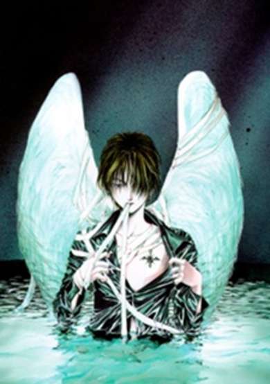 Copertina di Angel Sanctuary