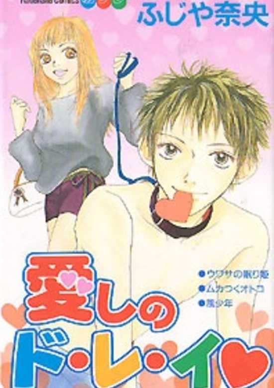 Copertina di Beloved Slave