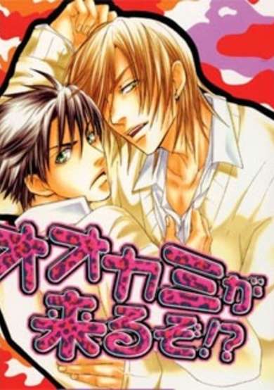 Copertina di Here Comes the Wolf?!