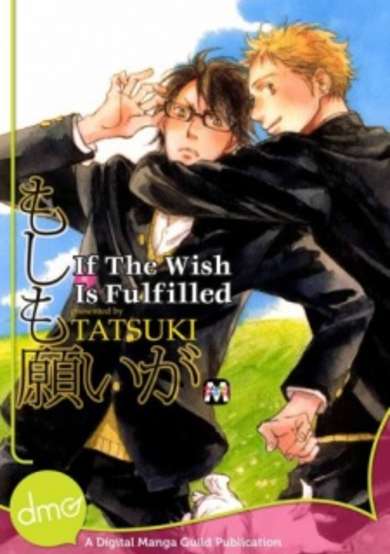 Copertina di If the wish is fulfilled