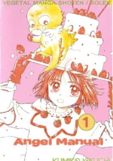 Copertina di Tenshi Kouryaku Manual