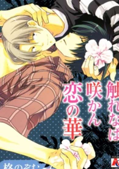 Copertina di Furenaba Sakan Koi no Hana