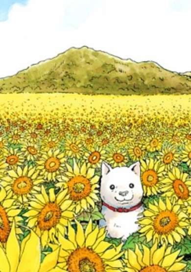 Copertina di Stargazing Dog