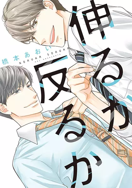 Copertina di Noru ka Soru ka