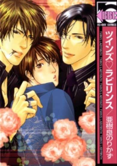 Copertina di Twin's♡Labyrinth