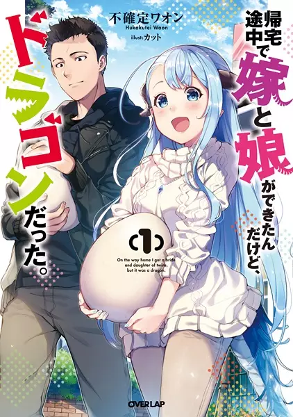 Copertina di On the way home I got a bride and daughter of twins, but it was a dragon.