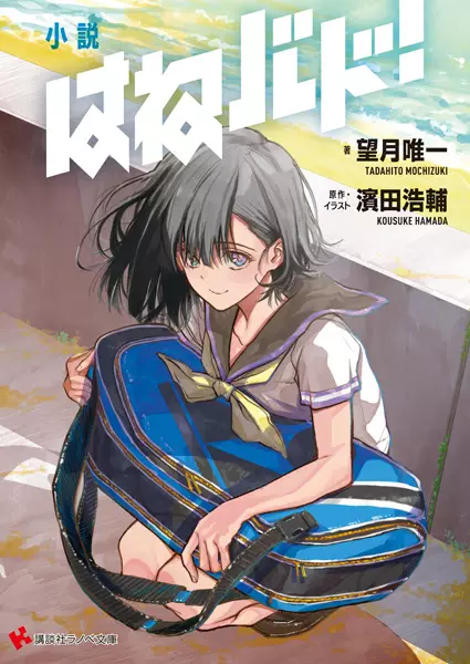Copertina di Shousetsu Hanebado!