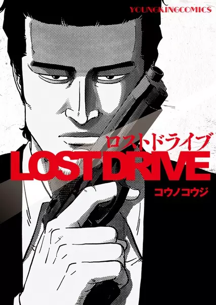 Copertina di Lost Drive