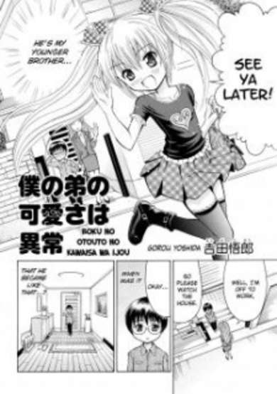 Copertina di Boku no Otouto no Kawaisa wa Ijou