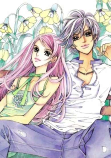 Copertina di Snow Drop