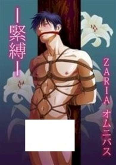 Copertina di Kinbaku