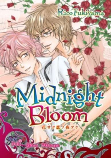 Copertina di Midnight Bloom