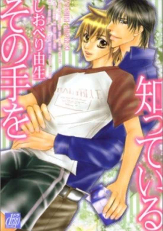 Copertina di Sono Te wo Shitteiru