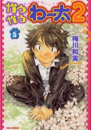 Copertina di Gau Gau Waata 2