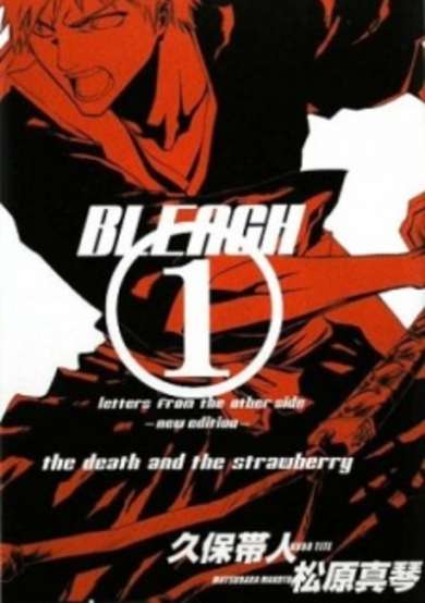 Copertina di Bleach: Letters From the Other Side