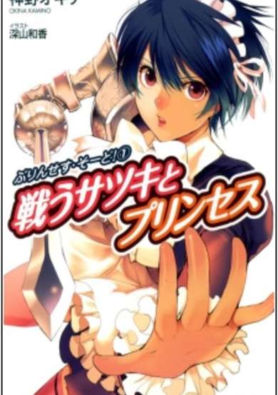 Copertina di Princess Sword!