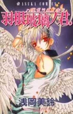 Copertina di Glass Wings