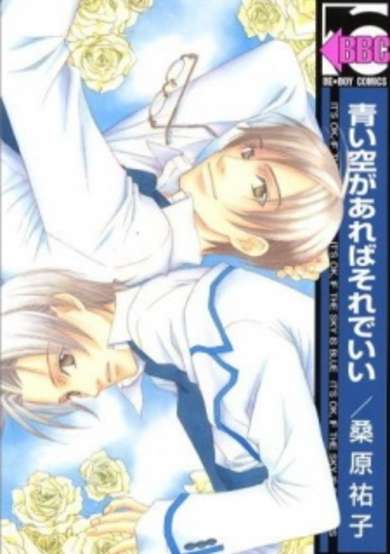 Copertina di It's OK, if the Sky Is Blue