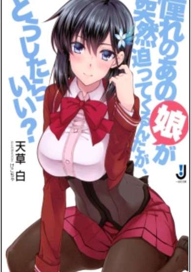 Copertina di Akogare no Anoko ga Totsuzen Sematte Kurunda ga, Doushitara Ii?