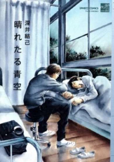 Copertina di Haretaru Aozora